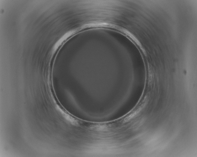 X0000073401245200607281117