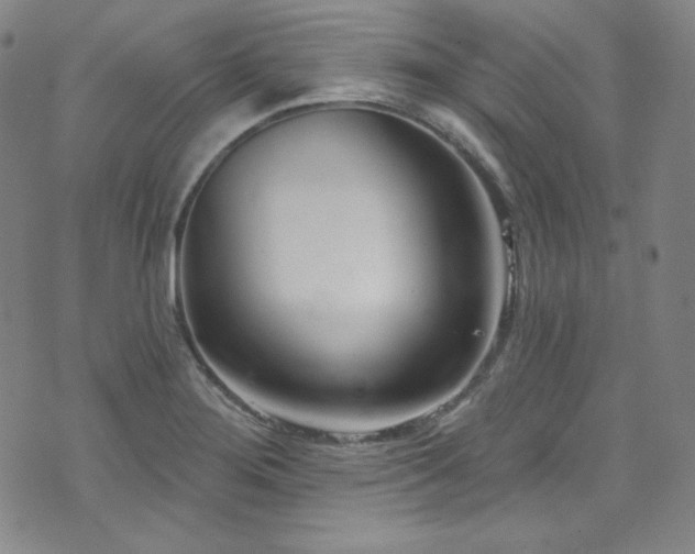 X0000073401276200607281115