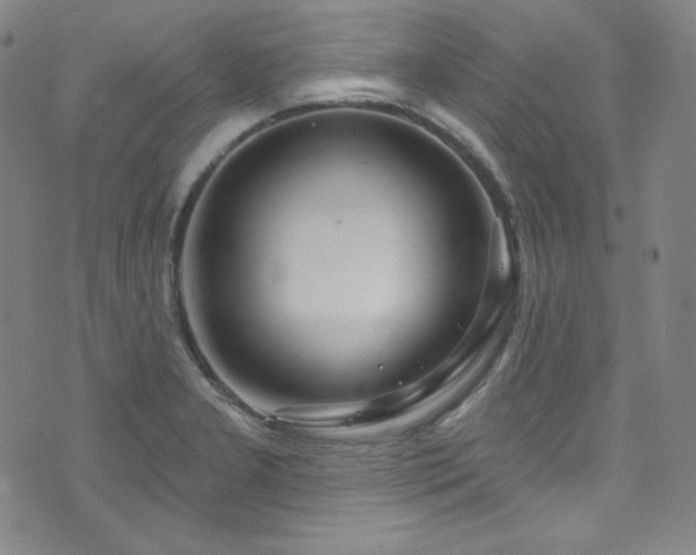 X0000073401277200607281115