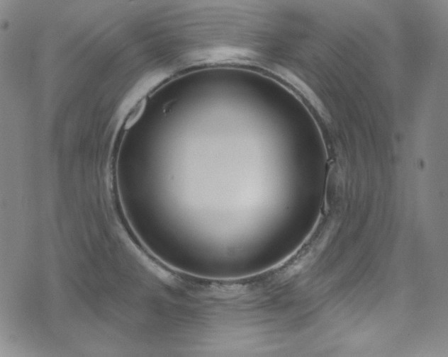 X0000073401285200607281115