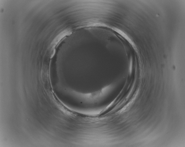 X0000073401289200607281115