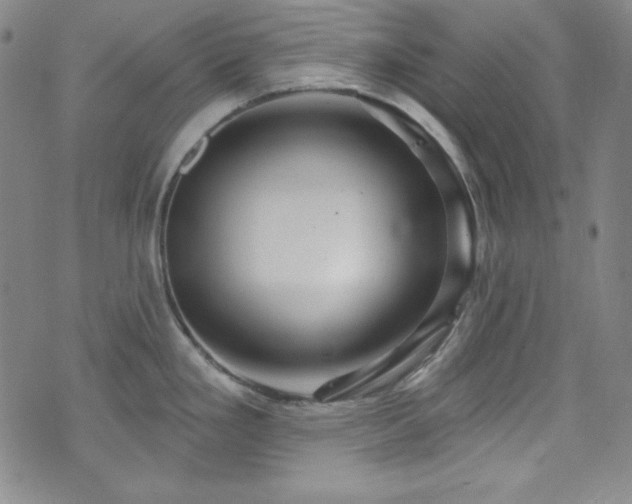 X0000073401293200607281115
