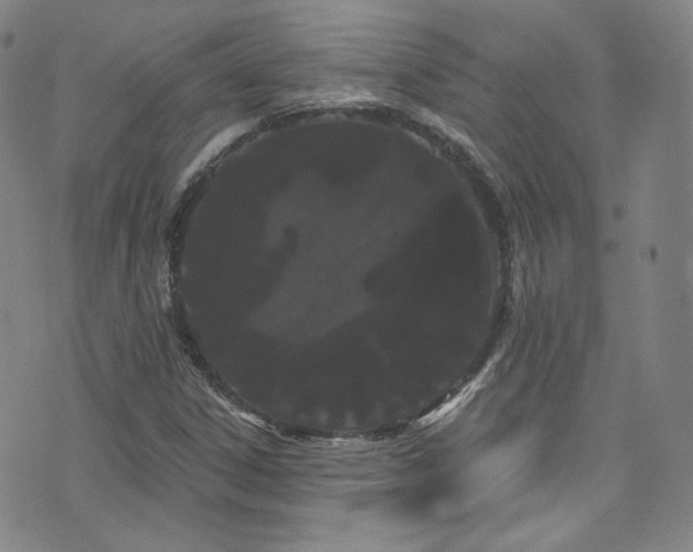 X0000073401306200607281114