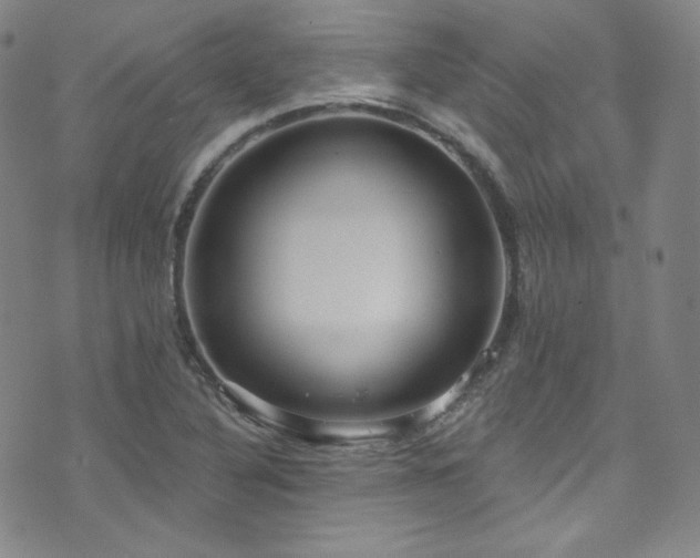 X0000073401316200607281115