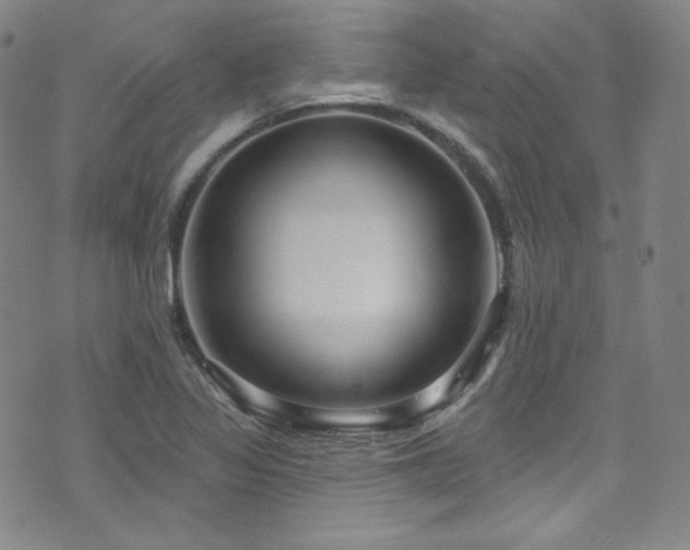 X0000073401317200607281115