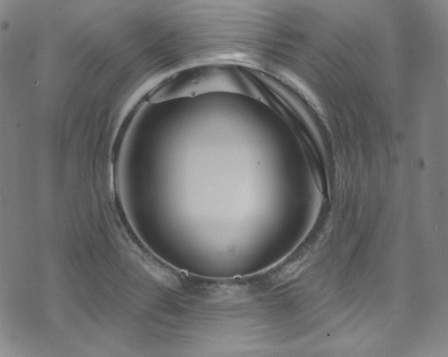 X0000073401324200607281115