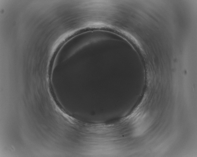 X0000073401327200607281115