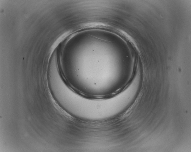 X0000073401330200607281115