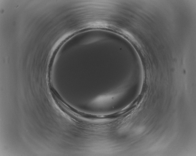 X0000073401331200607281115