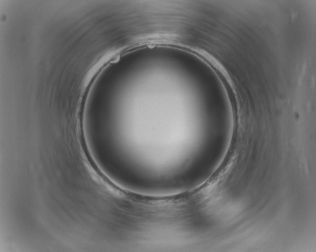 X0000073401341200607281115