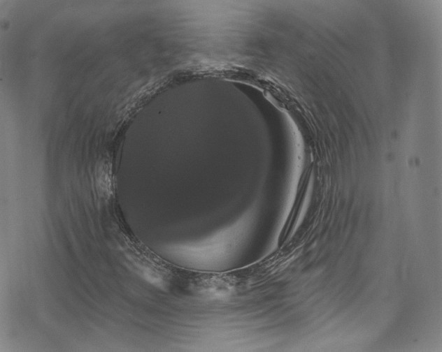 X0000073401348200607281114