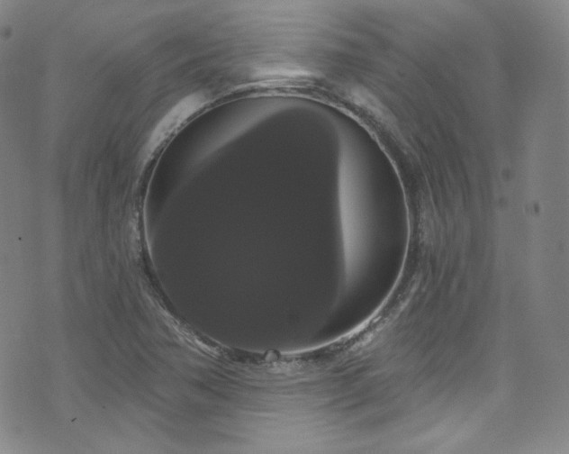 X0000073401362200607281114