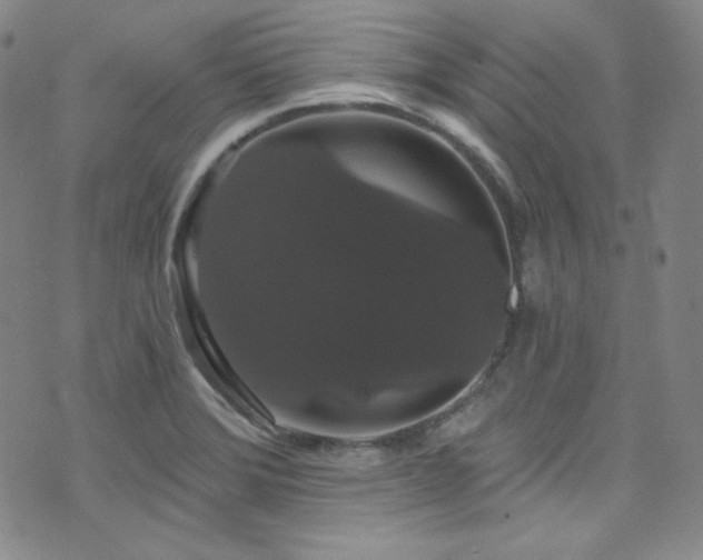 X0000073401372200607281114