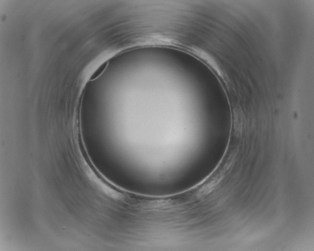 X0000073401387200607281114