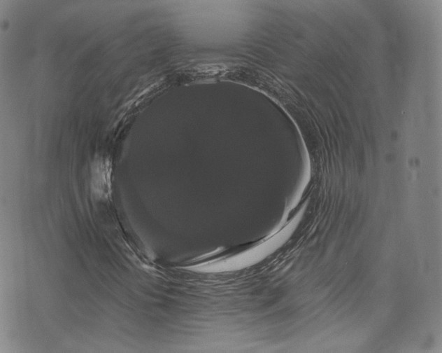 X0000073401394200607281113