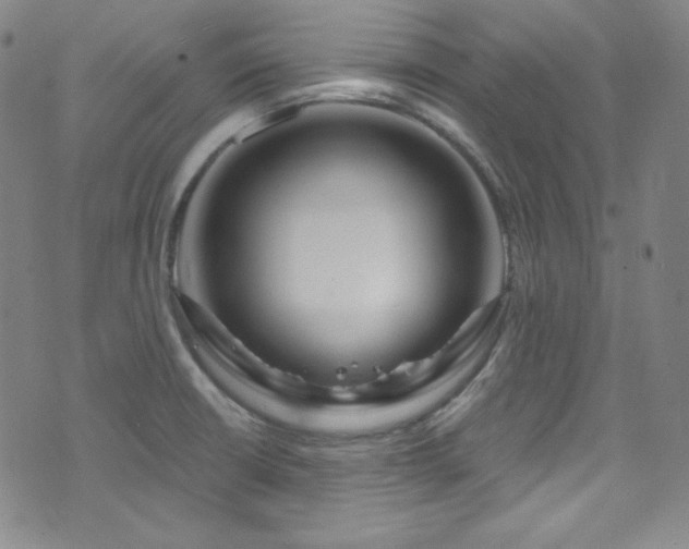 X0000073401426200607281113