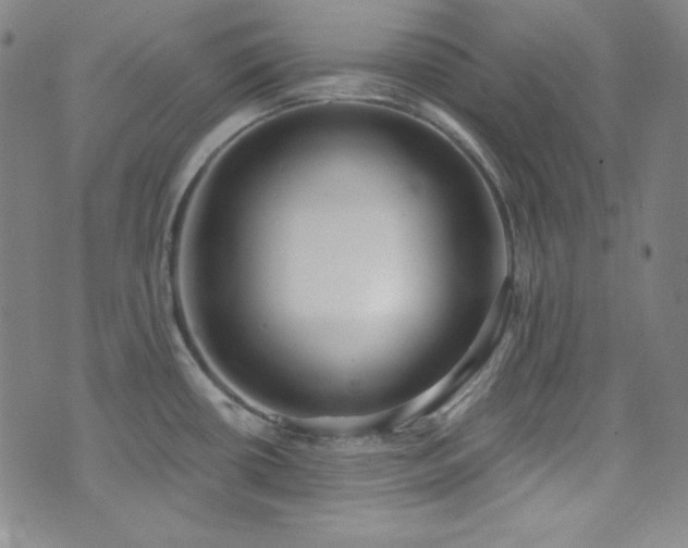 X0000073401434200607281113