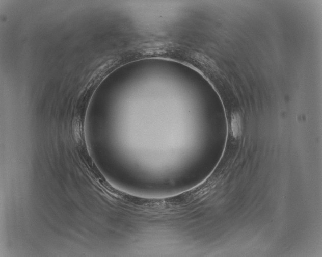 X0000073401444200607281113