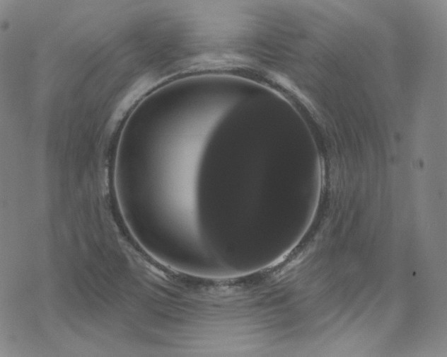 X0000073401459200607281112