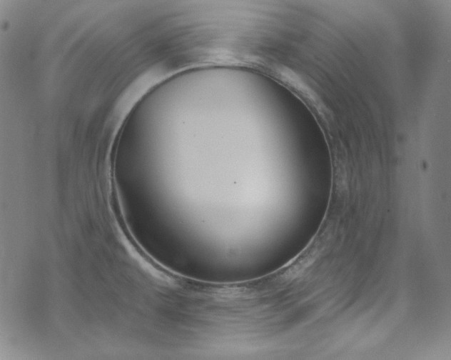 X0000073401479200607281112