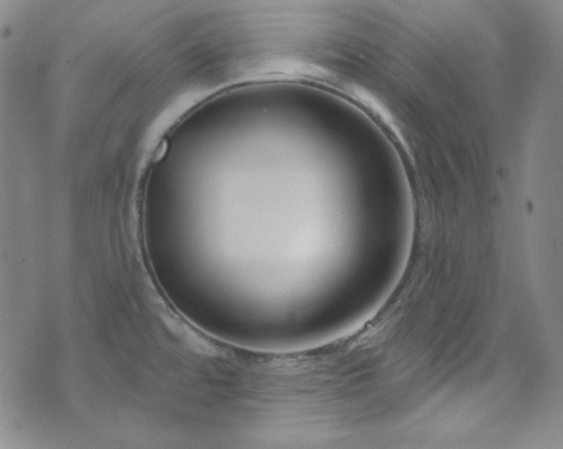 X0000073401480200607281112
