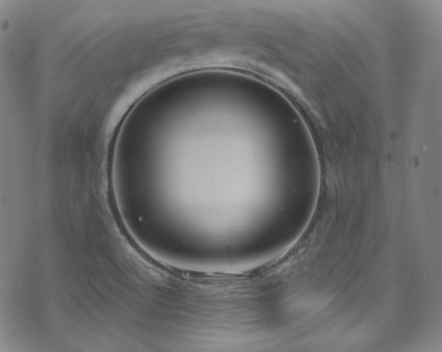 X0000073401512200607281112