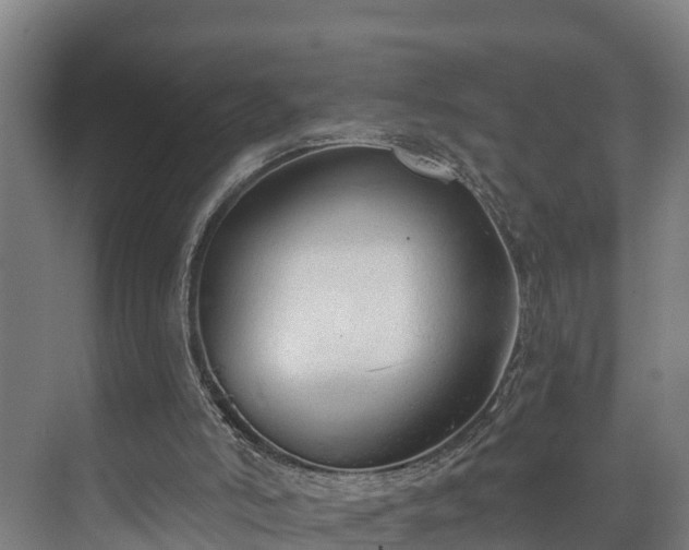 X0000073400006200608040939