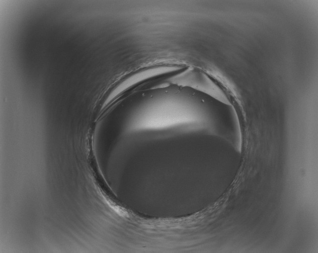 X0000073400009200608040939
