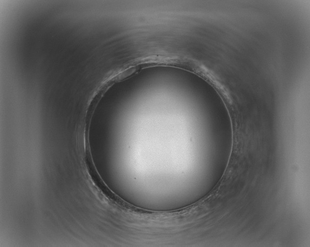 X0000073400011200608040939