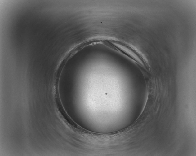 X0000073400015200608040939