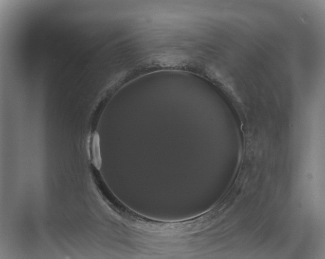X0000073400019200608040939
