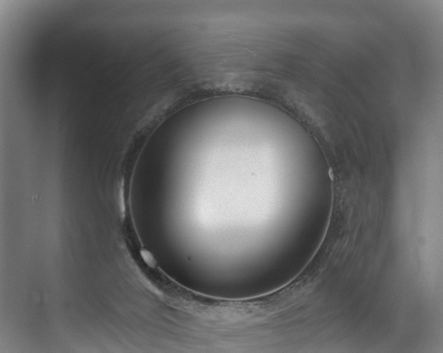X0000073400020200608040939