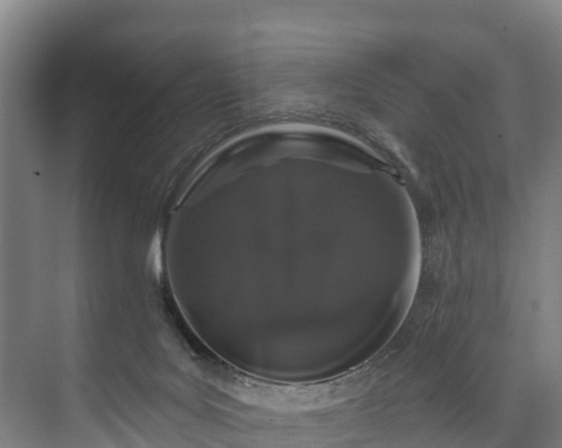 X0000073400027200608040938