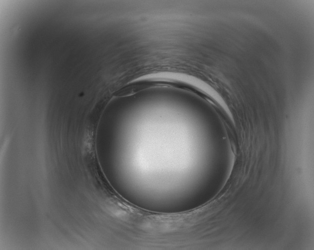 X0000073400033200608040938