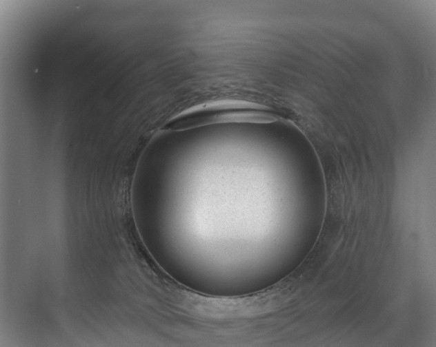 X0000073400034200608040938