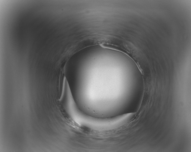 X0000073400041200608040938