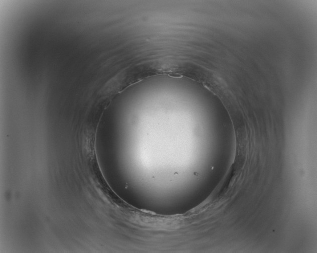 X0000073400044200608040938