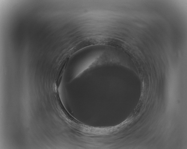 X0000073400048200608040938