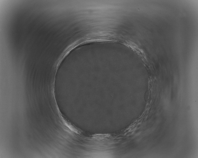 X0000073400051200608040937