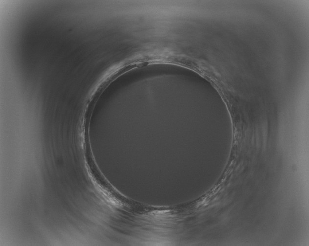 X0000073400054200608040937