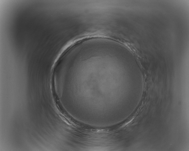 X0000073400056200608040937