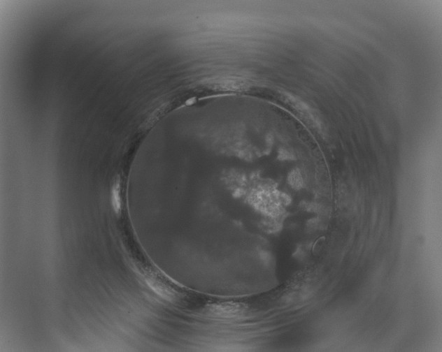 X0000073400069200608040938