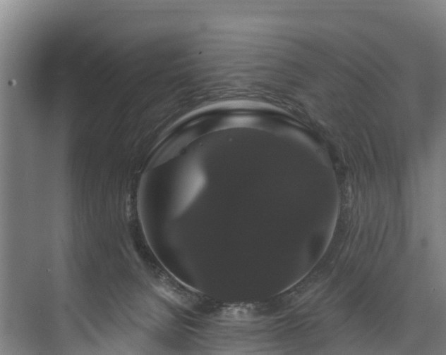 X0000073400080200608040938