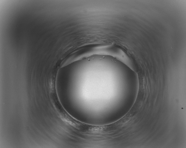 X0000073400084200608040938
