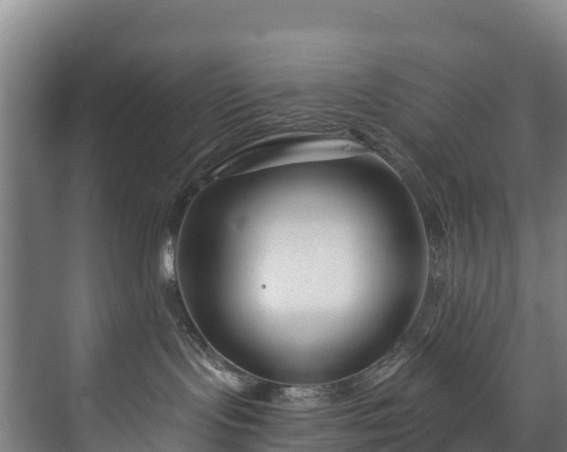 X0000073400095200608040938