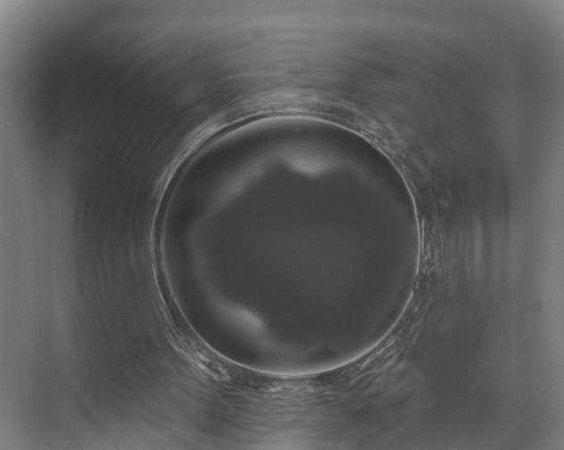 X0000073400099200608040937