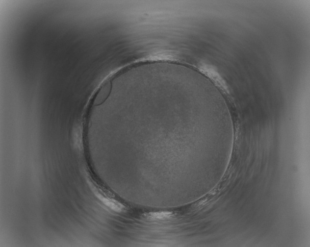 X0000073400108200608040937