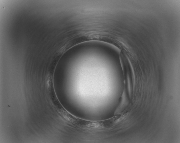 X0000073400125200608040937