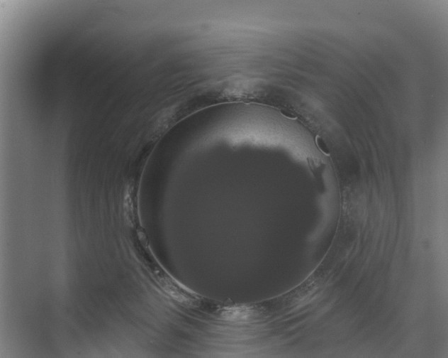X0000073400127200608040937