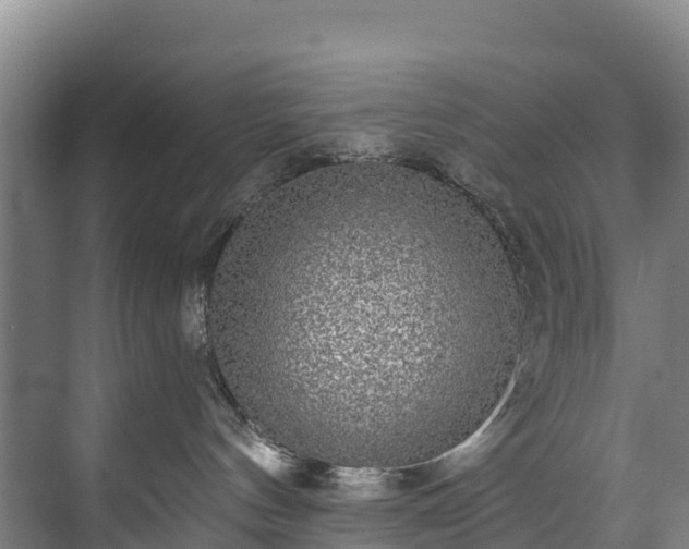 X0000073400144200608040936